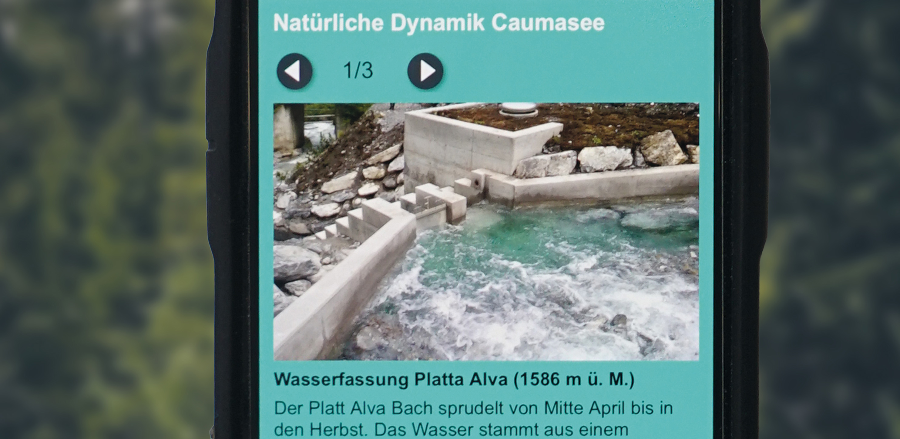  - Atelier Leuthold, Visuelle Kommunikation, Grafik Design, Zürich